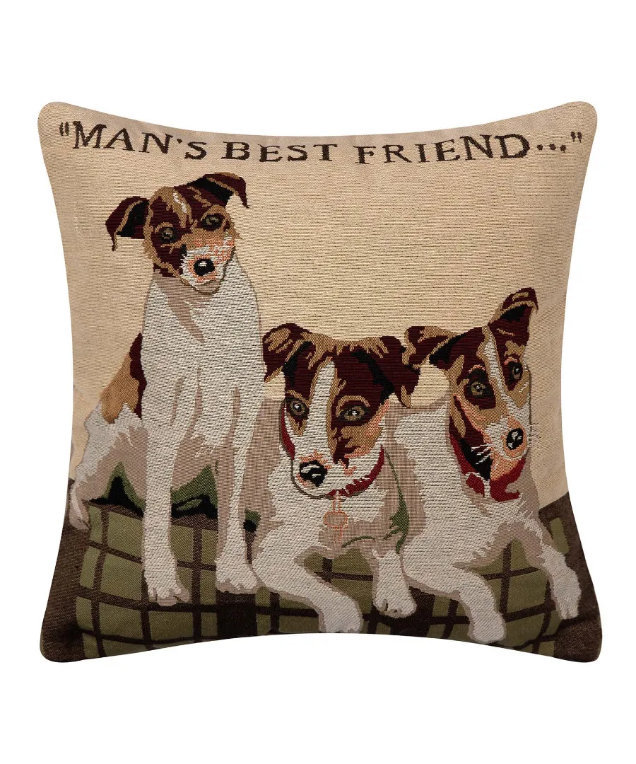 ΜΑΞΙΛΑΡΟΘΗΚΗ (45cm x 45cm) βέλγικο 11