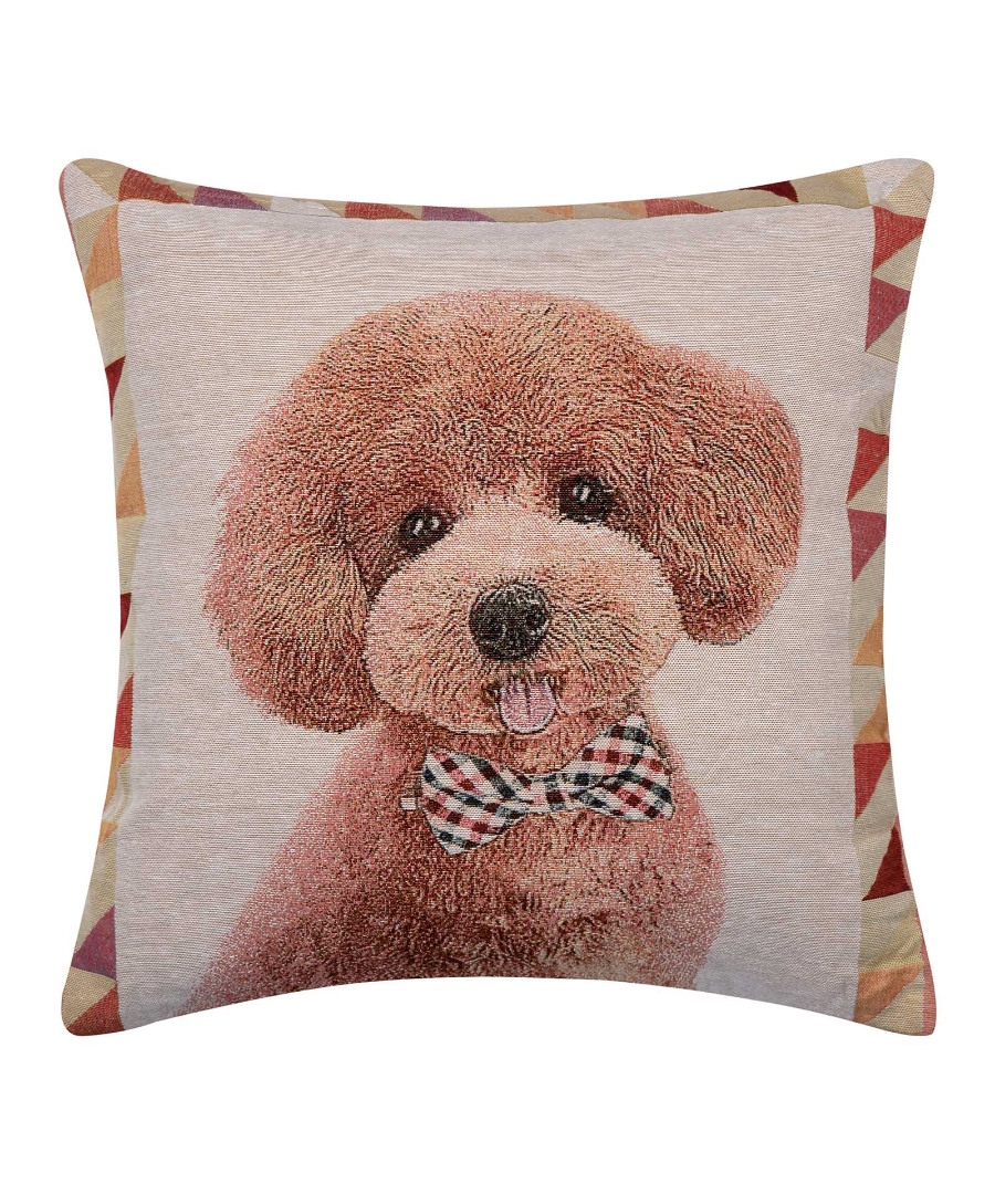 ΜΑΞΙΛΑΡΟΘΗΚΗ (45cm x 45cm) βέλγικο 5