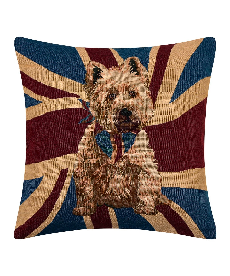 ΜΑΞΙΛΑΡΟΘΗΚΗ (45cm x 45cm) βέλγικο 4