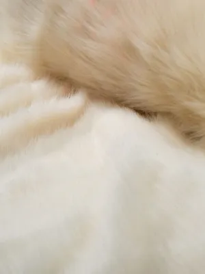 Μαξιλαροθήκη Pelt 15 - 45x45cm με γέμιση