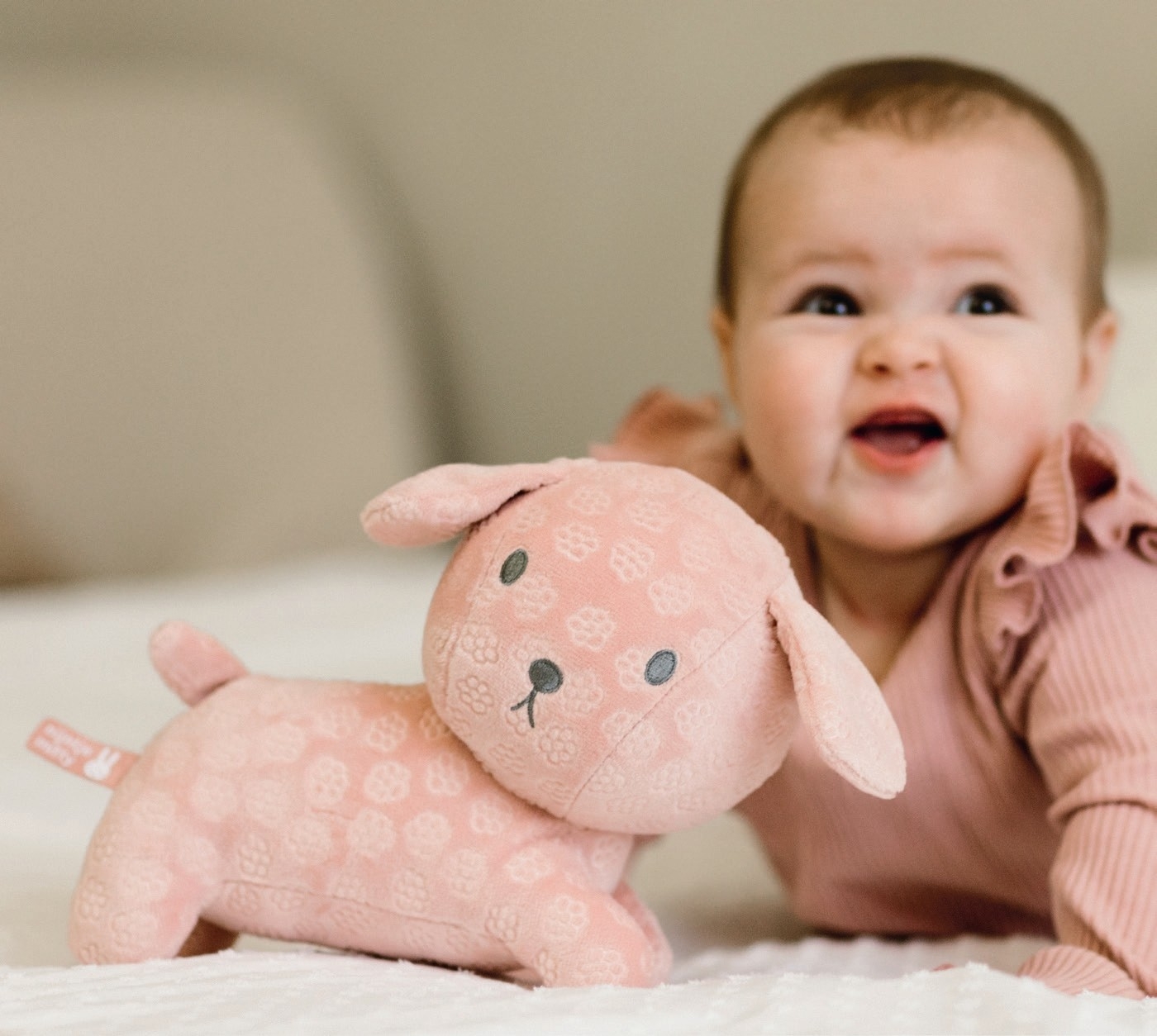 Λούτρινο Σκυλάκι Από Βελουτέ Ύφασμα 25cm Ροζ Miffy Flowers