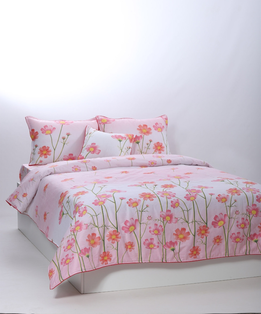 παπλωματοθήκη 160cm x 240cm κατωσέντονο με λάστιχο 110cm x 210cm+19cm 1x50cm x 70cm 40cm x 40cm joy-22