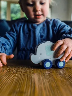 Ελέφαντας Push & Pull Orange Tree Toys