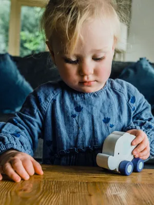 Ελέφαντας Push & Pull Orange Tree Toys