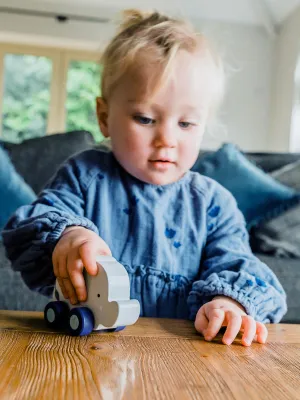 Ελέφαντας Push & Pull Orange Tree Toys