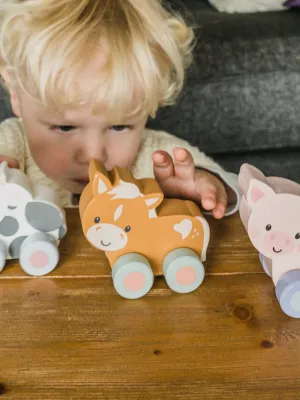 Γουρουνάκι  push & pull Orange Tree Toys