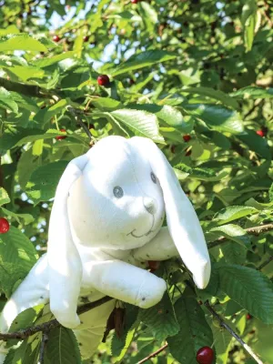 Λούτρινο Κουνέλι 24cm Trois Kilos Sept