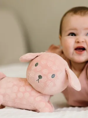 Λούτρινο Σκυλάκι Από Βελουτέ Ύφασμα 25cm Ροζ Miffy Flowers