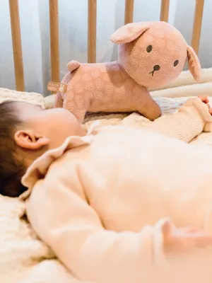 Λούτρινο Σκυλάκι Από Βελουτέ Ύφασμα 25cm Ροζ Miffy Flowers