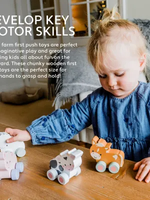 Αλογάκι Push & Pull Orange Tree Toys