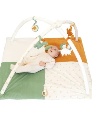 Γυμναστήριο 100x100cm Diplododo Trois Kilos Sept