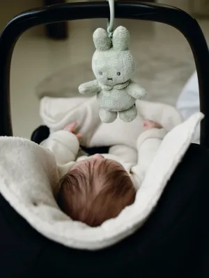 Κρεμαστό Παιχνίδι Καροτσιού Πράσινο Miffy Flowers