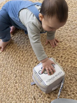 Κύβος Δραστηριοτήτων Ραφ Miffy Fluffy