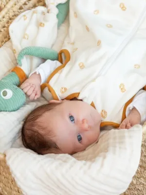 Πανάκι Παρηγορίας 34cm Diplododo Trois Kilos Sept