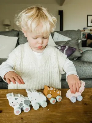 Αγελαδίτσα push & pull Orange Tree Toys