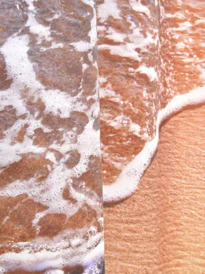 LINO ΚΟΥΡΤΙΝΑ ΜΠΑΝΙΟΥ COQUIL 180X200