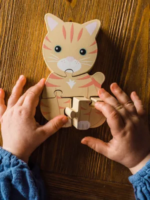 Παζλ Γάτα Orange Tree Toys