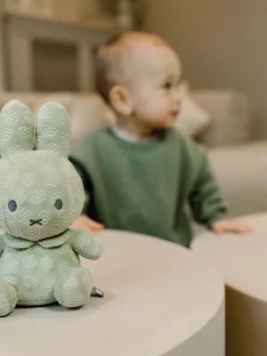 Λούτρινο Aπό Bελουτέ Ύφασμα 20cm Πράσινο Miffy Flowers