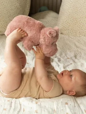 Μουσικό κουτί Ιπποπόταμος Tam Tam Trois Kilos Sept