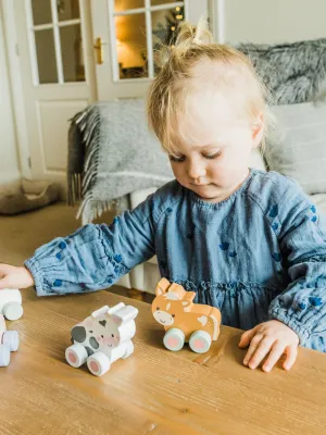 Γουρουνάκι  push & pull Orange Tree Toys