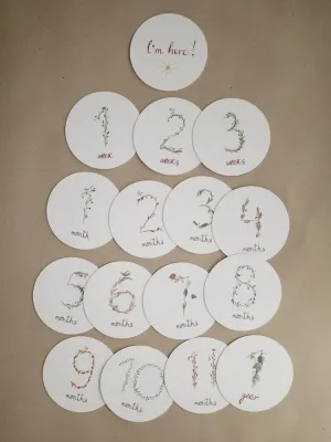 Κάρτες Αναμνήσεων Milestone Cards - Mushie