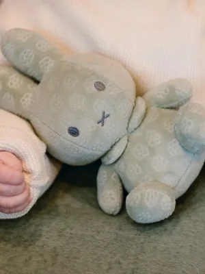 Λούτρινο Aπό Bελουτέ Ύφασμα 20cm Πράσινο Miffy Flowers