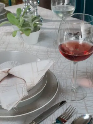 Τραπεζομάντηλο Dinan - 160x250cm + 12 πετσέτες