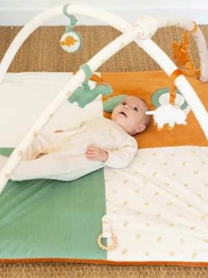 Γυμναστήριο 100x100cm Diplododo Trois Kilos Sept