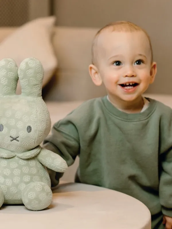 Προϊόν Λούτρινο Από Βελουτέ Ύφασμα 30cm Πράσινο Miffy Flowers Εικόνα