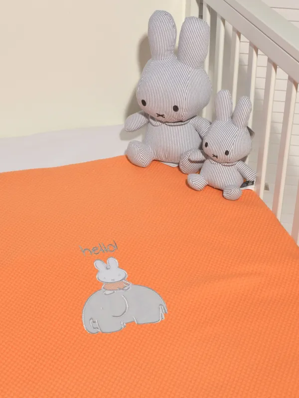 Προϊόν Κουβέρτα Πικέ Κούνιας 100x140 cm Design 13 Εικόνα