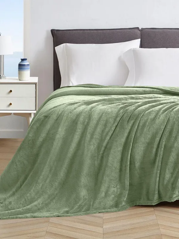 Προϊόν LINO ΚΟΥΒΕΡΤΑ ΒΕΛΟΥΤΕ PELLO MINT 220X240 Εικόνα