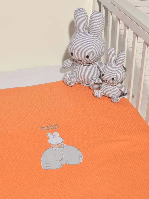 Προϊόν Κουβέρτα Πικέ Αγκαλιάς 80x100cm Design 13 Εικόνα