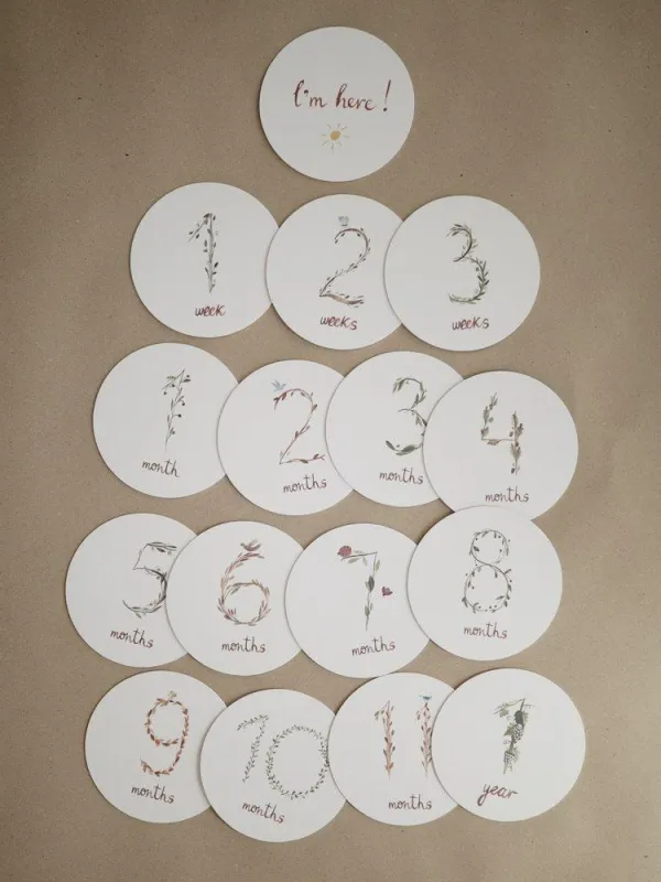 Προϊόν Κάρτες Αναμνήσεων Milestone Cards - Mushie Εικόνα