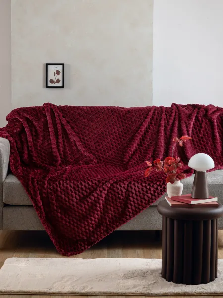 Κουβέρτα Fleece 160x220 ASTER WINE