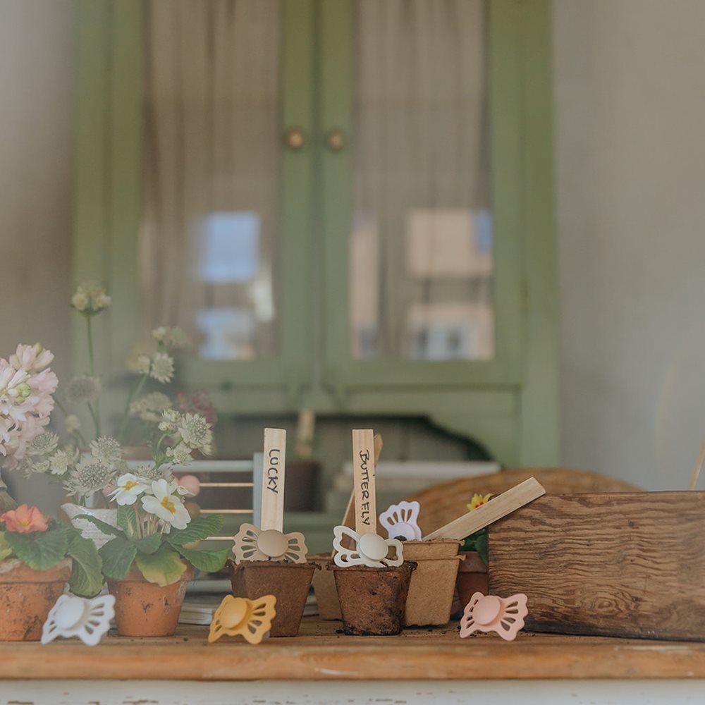 Σετ 2 Ανατομικές Πιπίλες Σιλικόνης FRIGG Butterfly Cream/Blush 0-6 Μηνών