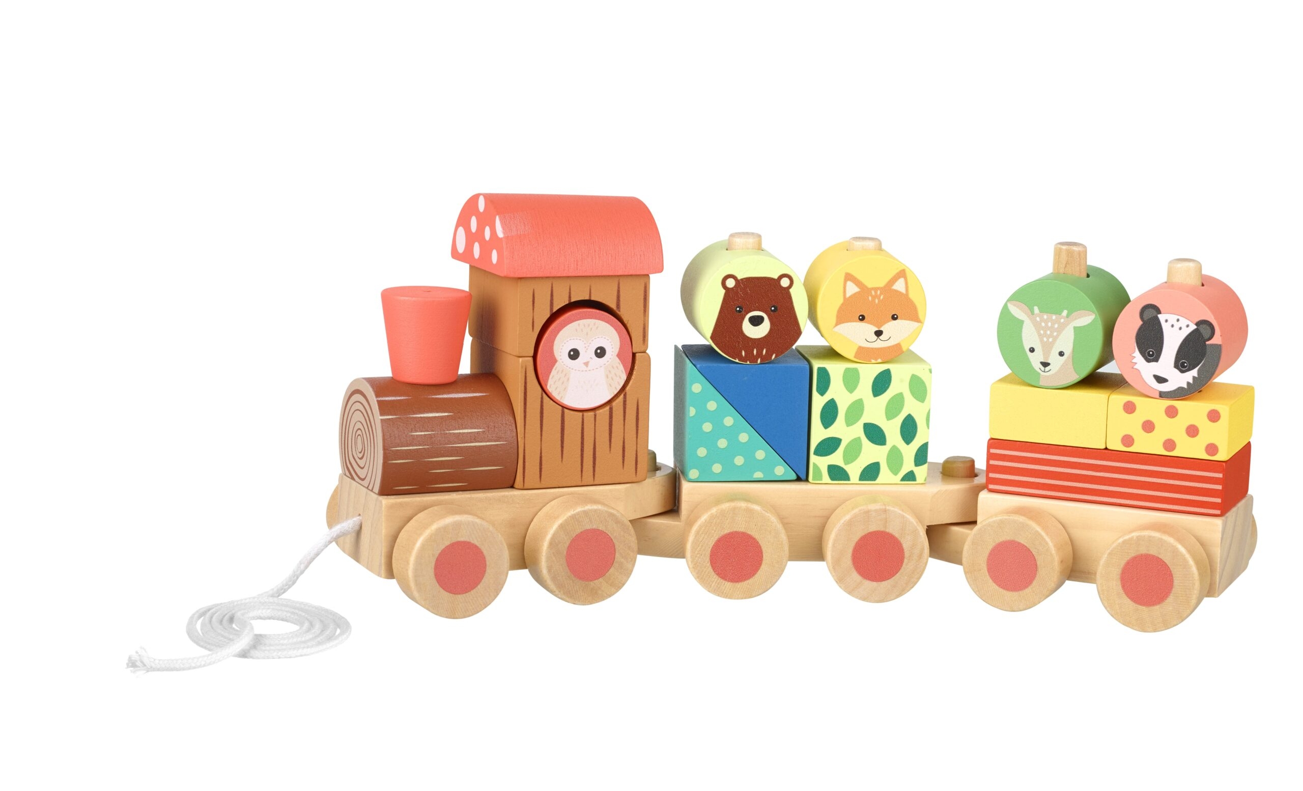 Ξύλινο Τρενάκι Woodland (FSC®) Orange Tree Toys