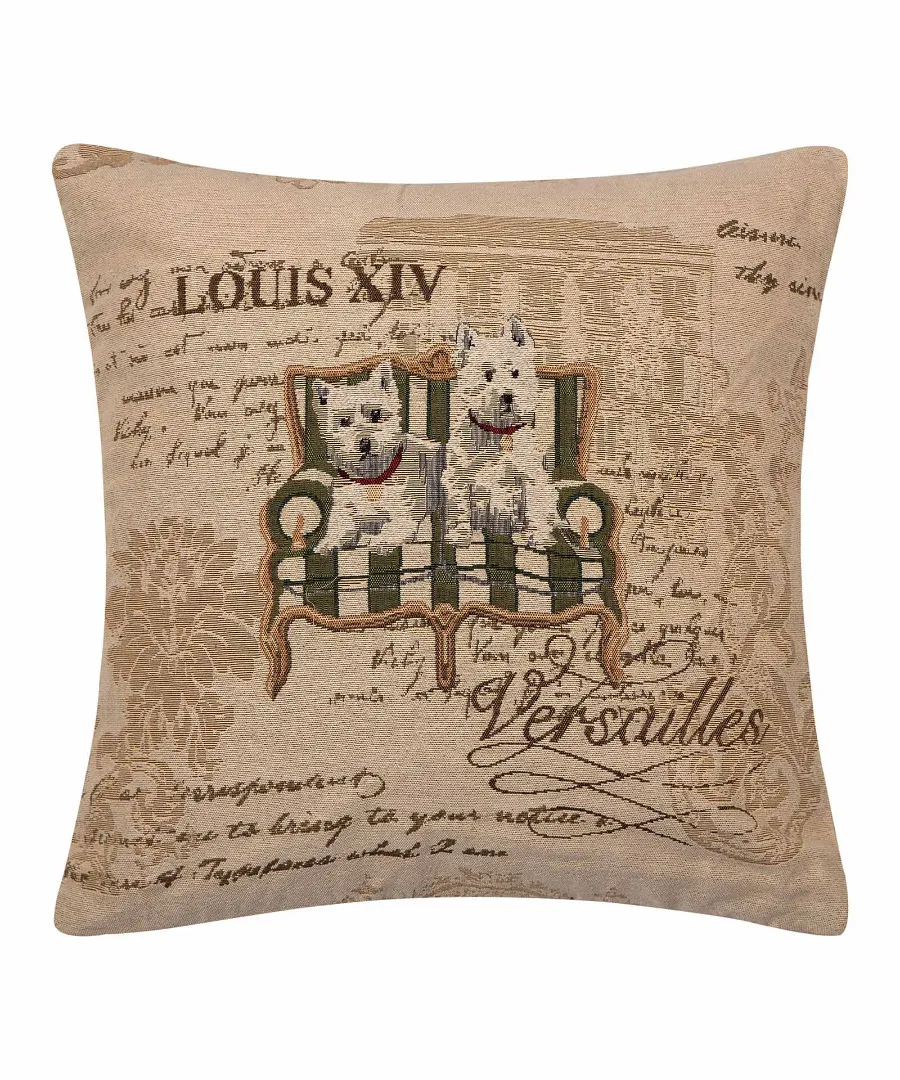 ΜΑΞΙΛΑΡΟΘΗΚΗ (45cm x 45cm) βέλγικο 9