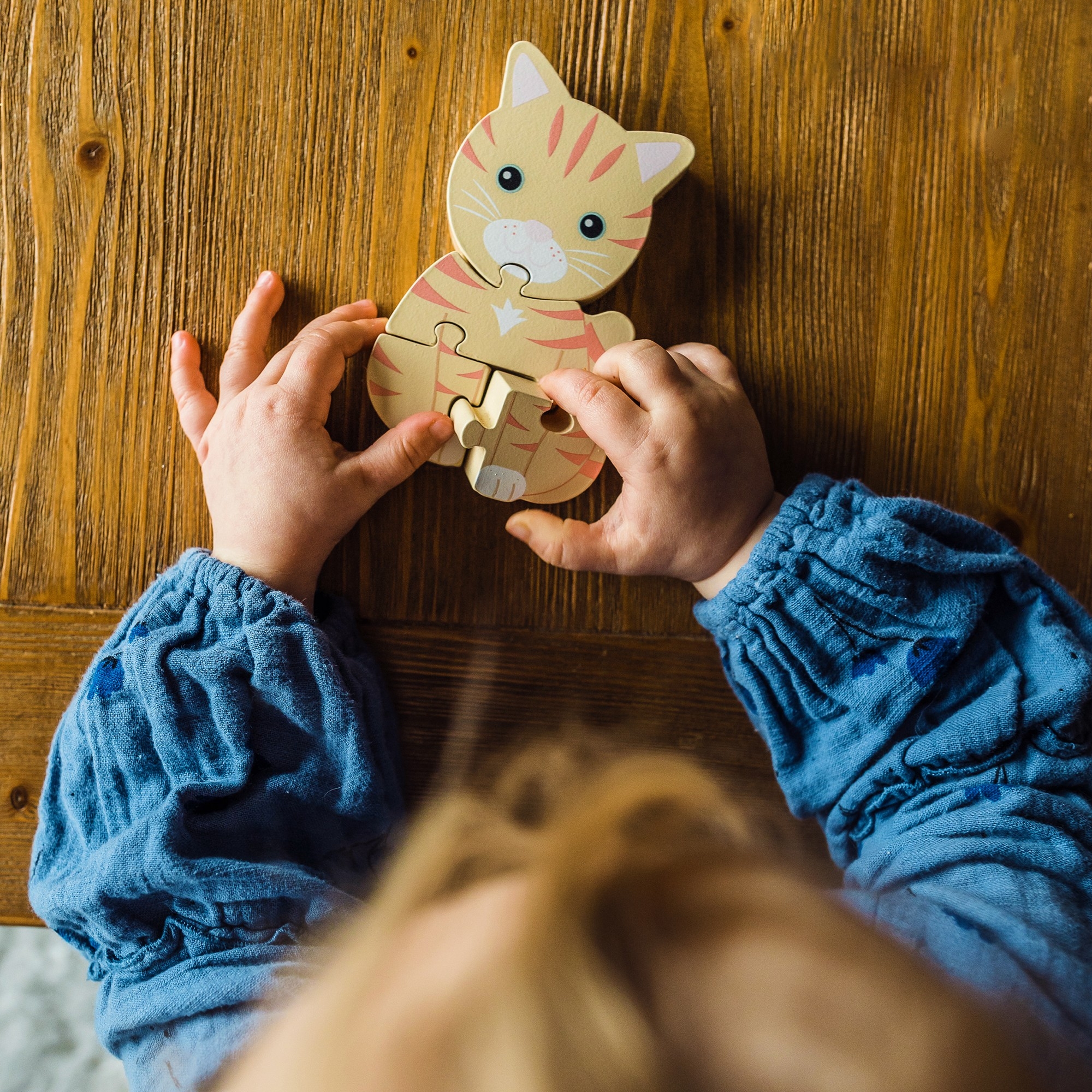 Μικρό Παζλ Γάτα Animals Orange Tree Toys