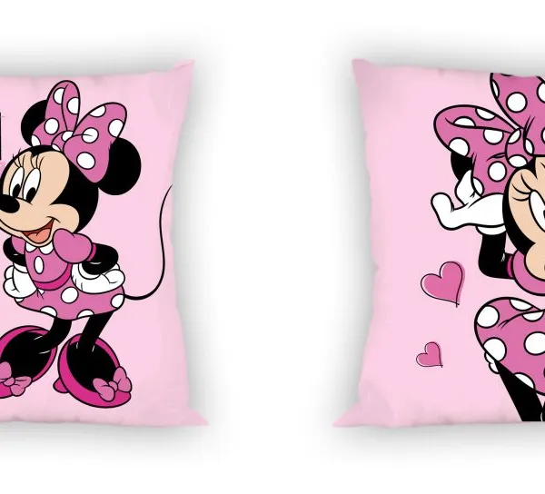 ΜΑΞΙΛΑΡΑΚΙΑ DISNEY MINNIE 62 40X40 Digital Print